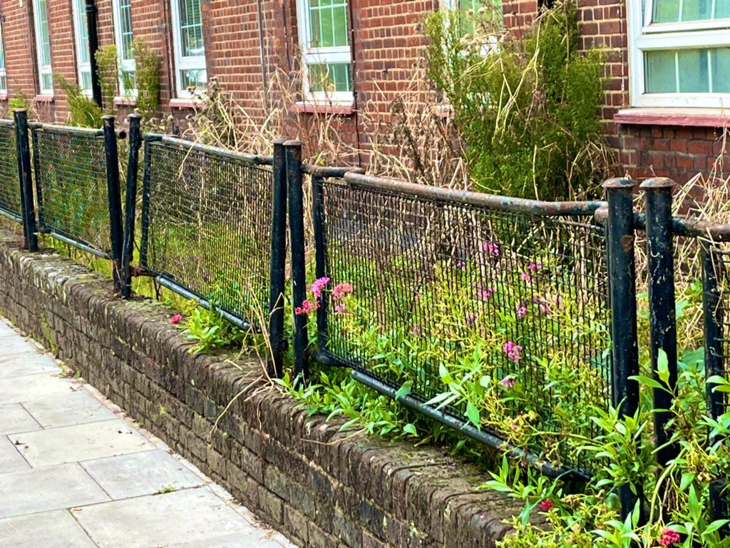 Danae Dholakia tweet media