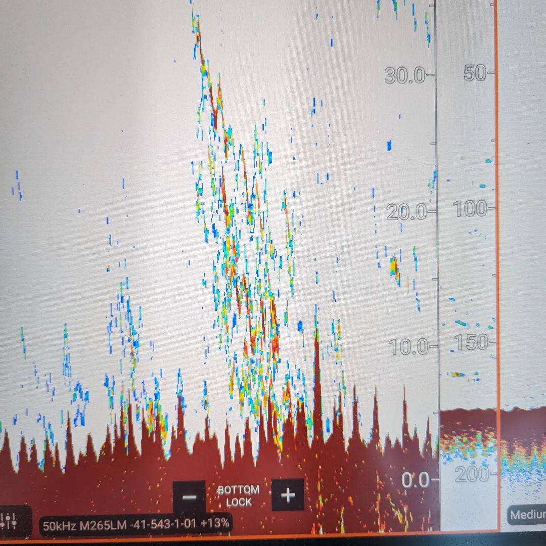 Raymarine tweet media