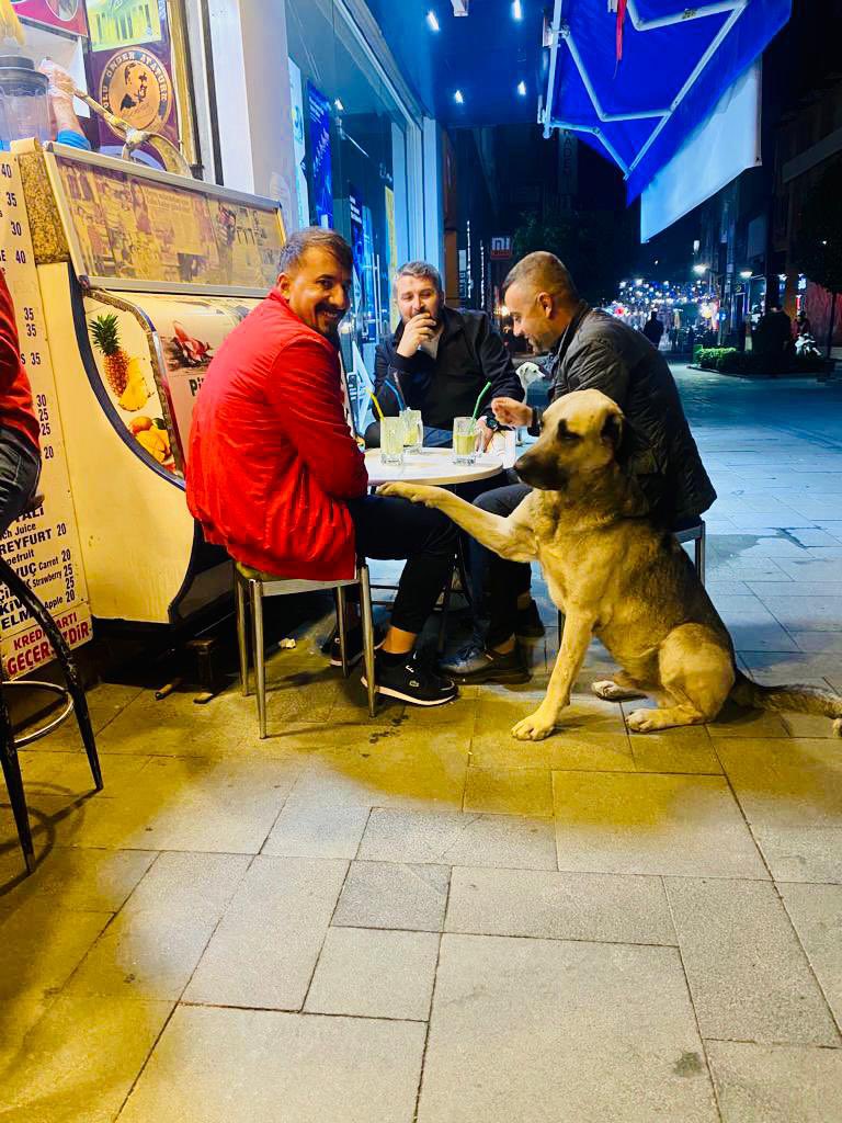 Deprem öncesi anımız saraycaddesi