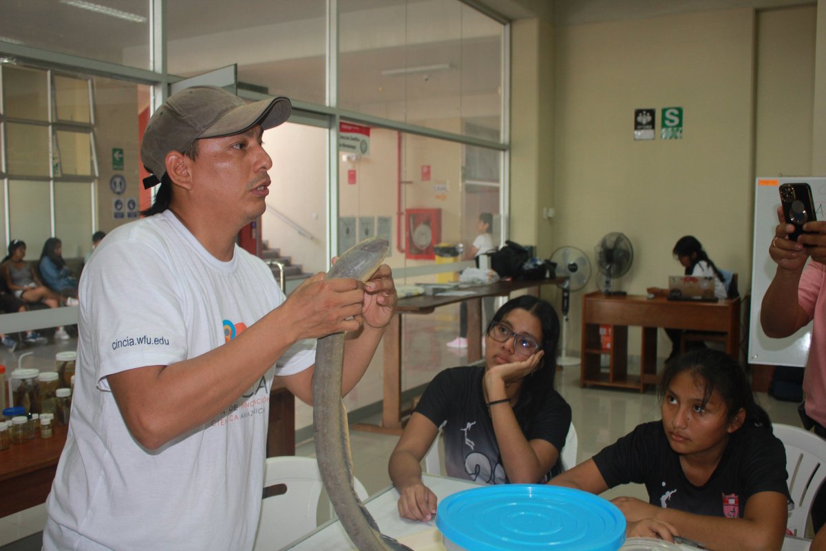 CINCIAMDD's tweet photo. La Colección Científica Ictiológica (CCI) de #UNAMAD tiene como objetivo transferir conocimiento a los docentes, alumnos e #investigadores sobre la diversidad de peces de Madre de Dios. Las alumnas del IIEE Santa Rosa de Puerto Maldonado visitaron la CCI. https://t.co/FT0WikbOnj