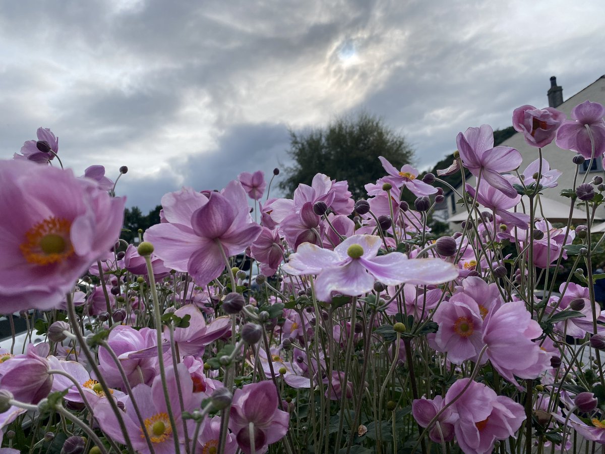 End of long weekend camping….paddle boarding, walk to Pooley Bridge and breaking camp #AHPsActive  #WeActiveChallenge