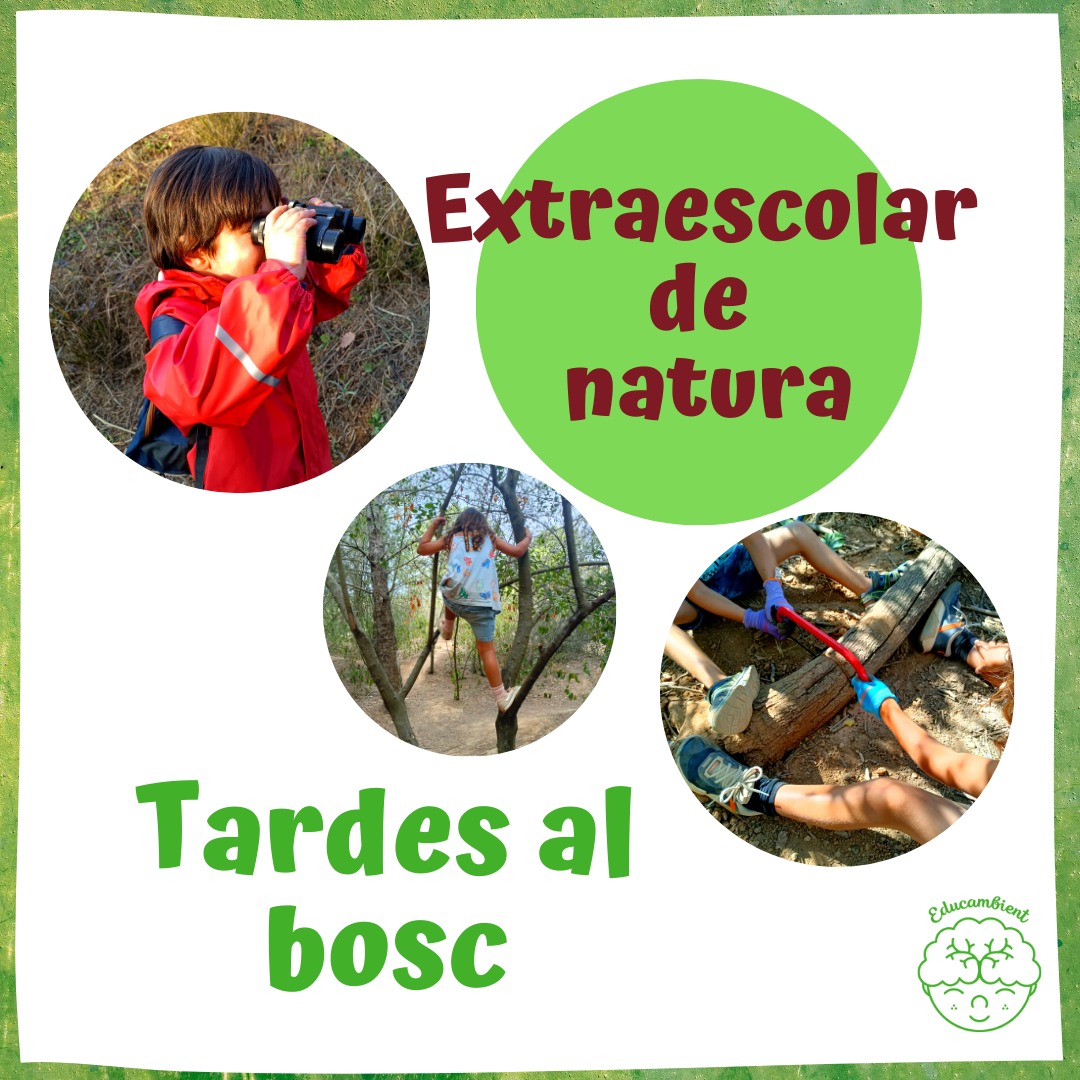 Educambient_'s tweet photo. Inscripcions obertes per l'extraescolar de Tardes al bosc per al curs 23-24! 🌳🐗

Una activitat setmanal durant el curs on els vostres fills i filles trobaran un espai per jugar i aprendre de la natura que tenen al costat de casa.

🔎Podeu trobar més informació a la nostra web https://t.co/4CcEaWL7sm