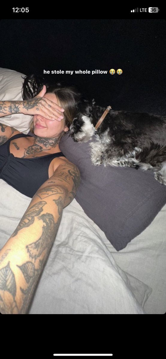 coffcebcans's tweet image. @.BDeMarco has posted ! 

            ——• even Charlie knows when I’m sick,, not that he wants to help 🙄👀