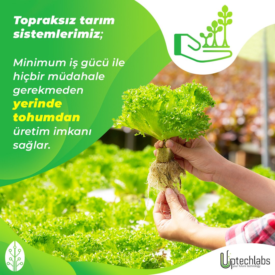 Uptechlabs tweet media