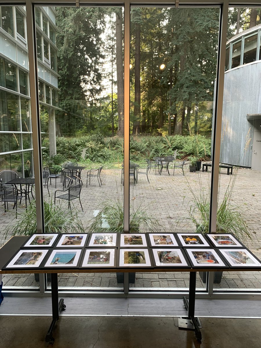 ZanaMody's tweet photo. Completed installing my photos at the Liu Lobby Gallery @ubcSPPGA for the exhibit! RSVP here for the opening reception this Wed Aug 30 at 5pm PT: 

https://t.co/qET9dgvH0w

@UBCoceans @ubcires https://t.co/3RXvwD00Qg