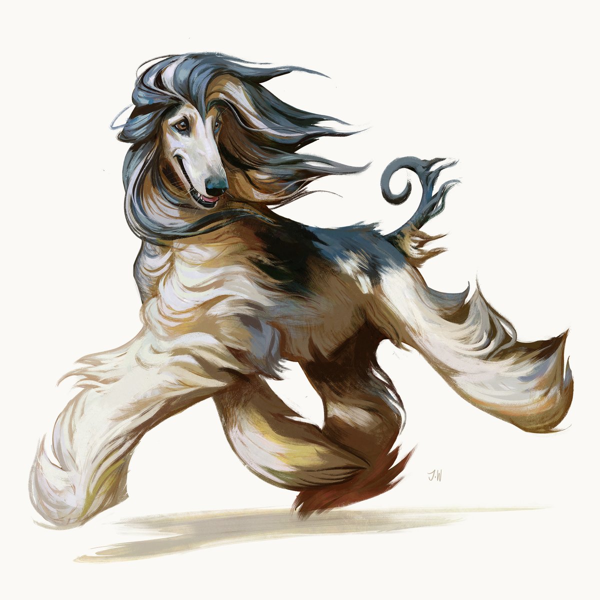 Znoddenn's tweet photo. #doggust 26, Afghan Hound ✨ Very fun to draw long flowy fur :D https://t.co/fUXLR7CYc3