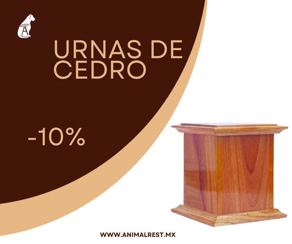 animalrestmx's tweet photo. Nuestras urnas de cedro están delicadamente hechas a mano para honrar a las mascotitas más allá del arco iris.

Cada uno de los modelos puede ser personalizado con la réplica de la huella de los pequeños o con una foto grabada en una placa, además, este mes tienen el 10% de dto. https://t.co/2VsxjK1xV9