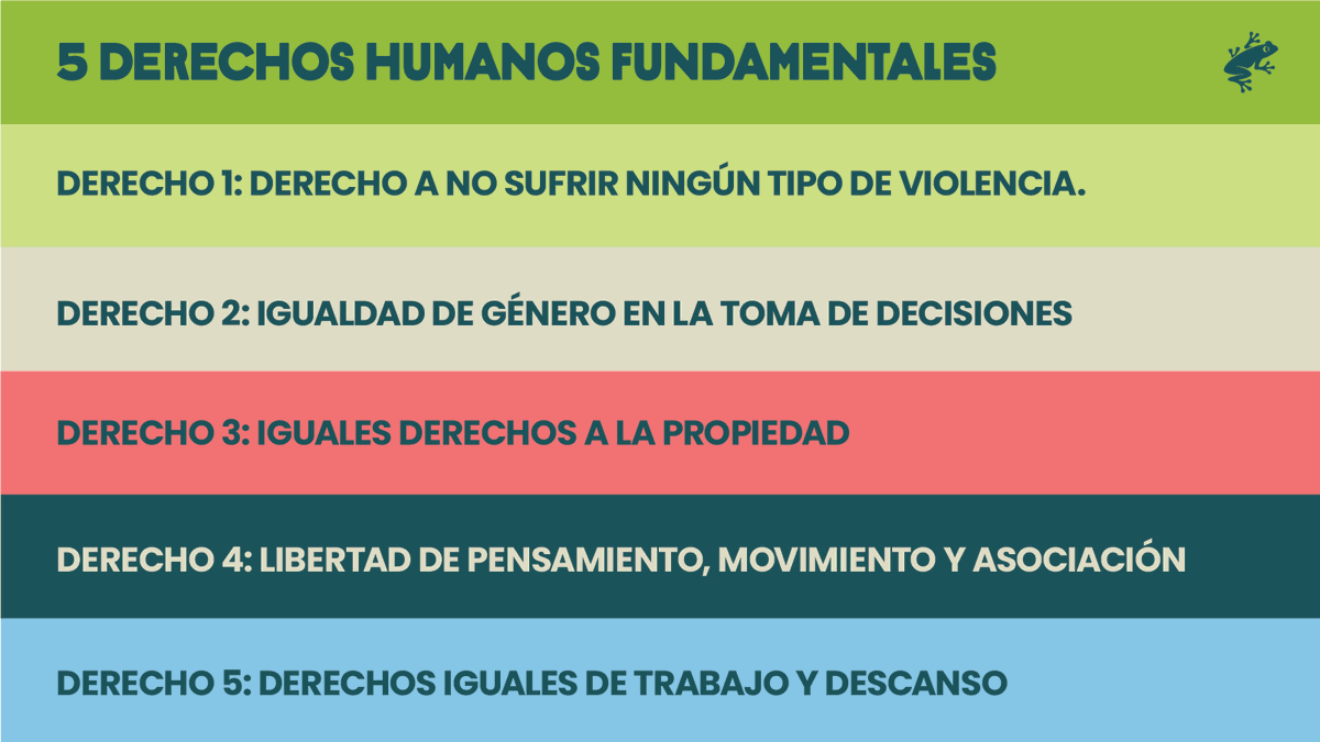 RnfrstAll_Latin's tweet photo. #DDHHMujeres Hablamos constantemente de Igualdad de Género, pero ¿qué aspectos abarca? Aquí le recordamos los 5 derechos humanos fundamentales, relacionados con el género, que nuestra Estándar de Agricultura Sostenible 2020 busca fomentar en sus fincas👭 https://t.co/2aztLSvJyf