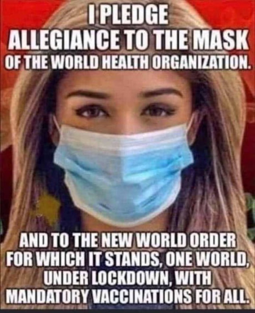 PatriotDaddyBob's tweet photo. Sheep!!!! https://t.co/uQlziE5I8O