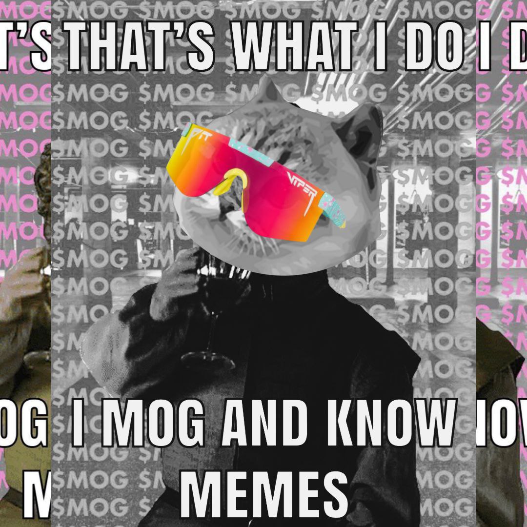 I hear @xcatge has some Nfts minting soon called Sprotocats...might also be working on a time machine. 🐈 #Xcatge #catsarethenewdogs