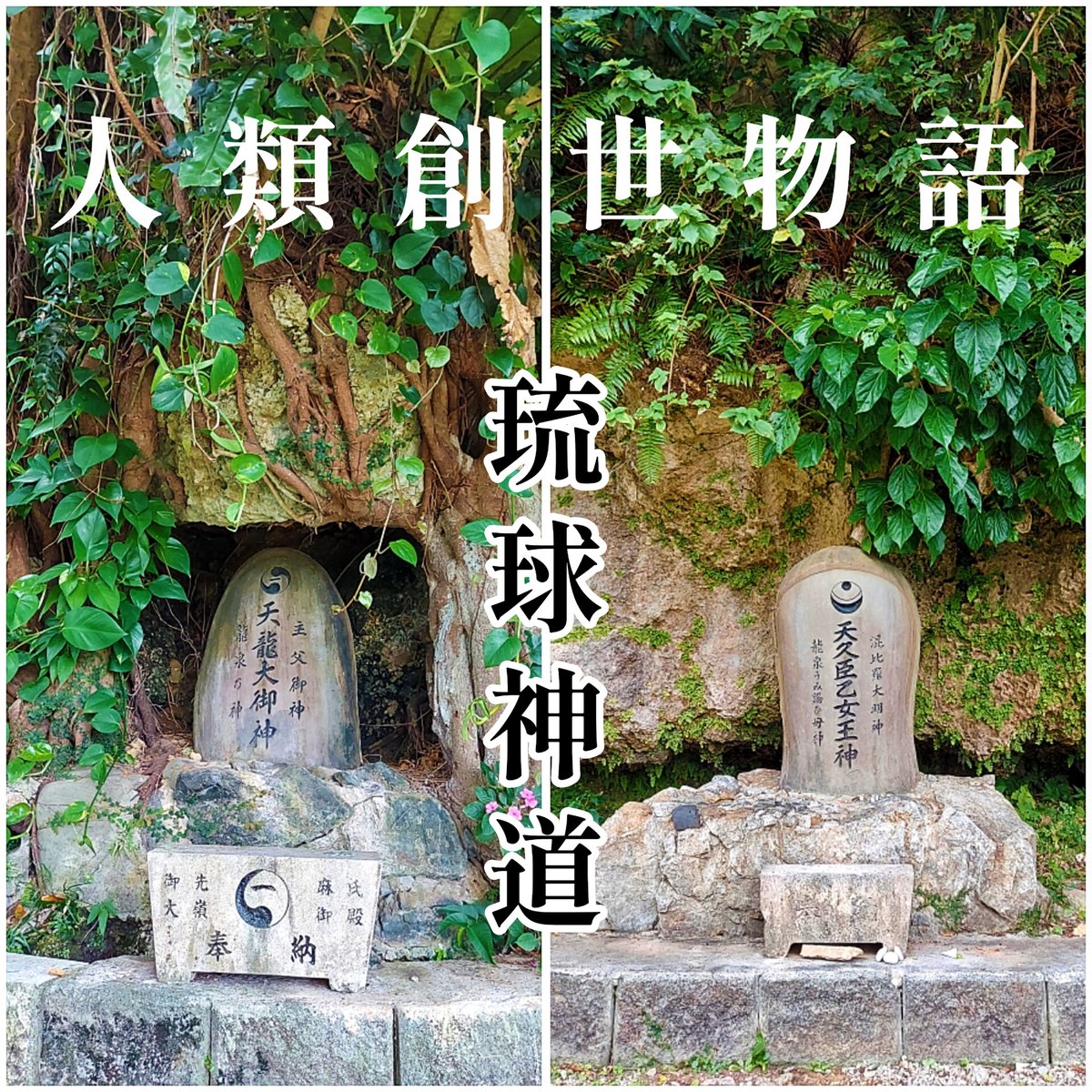 dragon_message's tweet photo. 沖縄の龍神様について
インスタに投稿しました🐉
ぜひこちら⏬からご覧ください✨
https://t.co/7E2OSXQrkn

#龍神okinawa #沖縄 #龍神 #干支12龍神 #沖宮 #琉球神道 #天照大御神 #神話 #干支 #観光 https://t.co/sXp8opeZe6