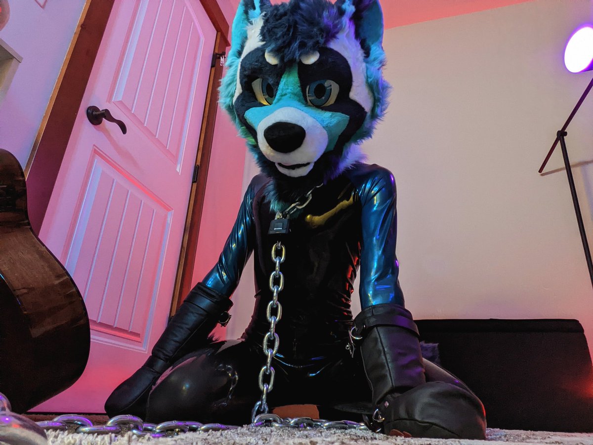 What would you do with a pet wah?