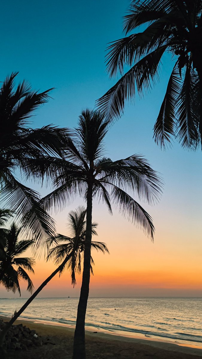 GN photographers and NFT artists

#NFTCommunity #NFTs #nftphotography #NFTart