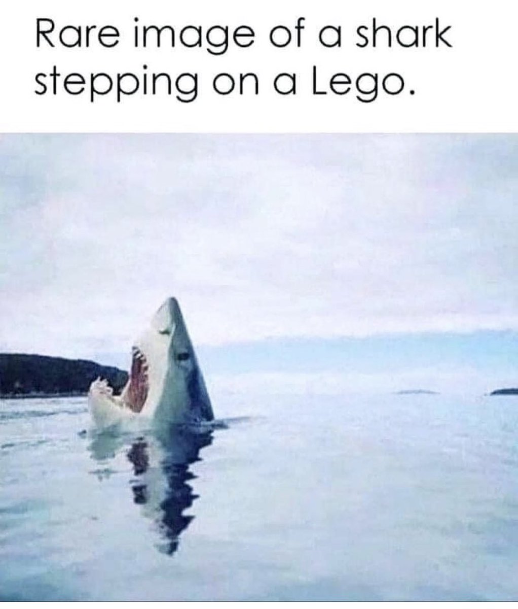 Colibridelabatalla (@colibribatalla) on Twitter photo 