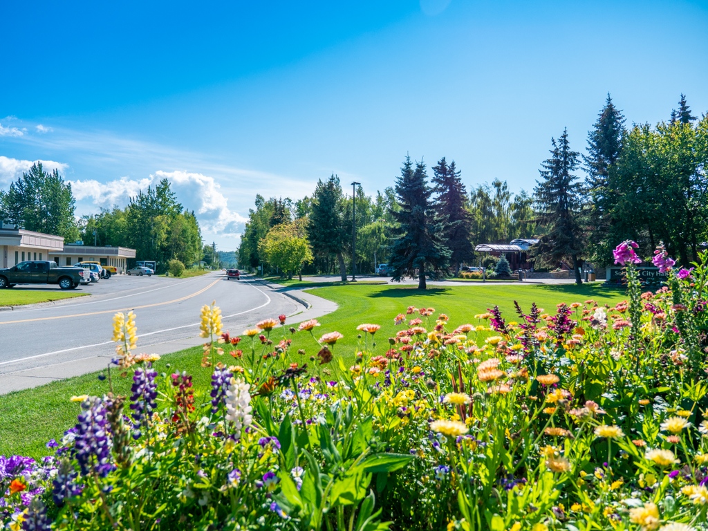 Visit Soldotna tweet media