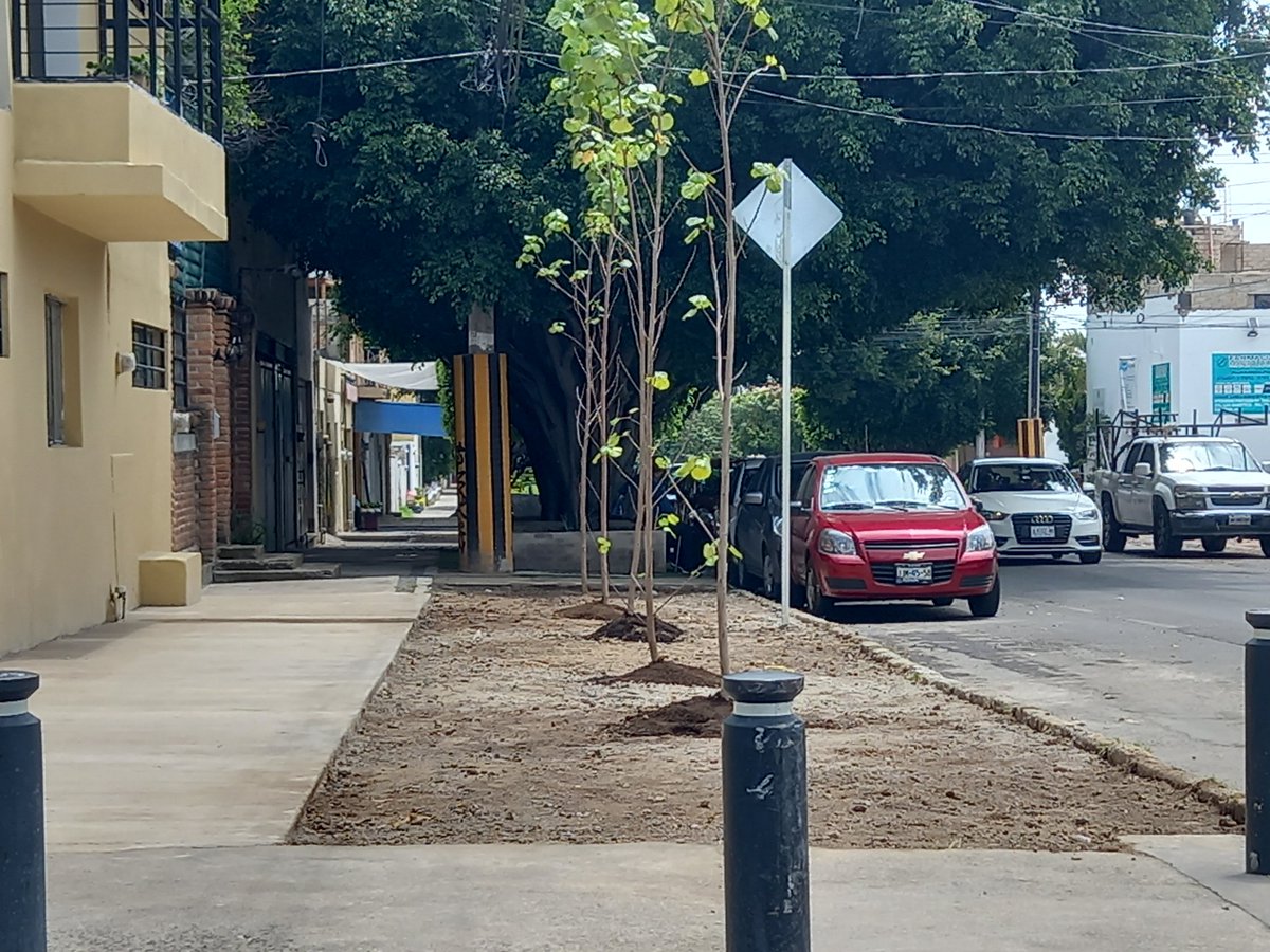 Así está hoy el espacio verde que un colegio pretendía sustituir por suelo compactado y pasto sintético en Epigmenio Preciado y Manuel Tortolero, Los Maestros, Zapopan <a href="/alexanschmidt/">alexan schmidt</a> <a href="/JPMS79/">J P</a> <a href="/PoderAG_Jal/">Poder AG Jal</a>