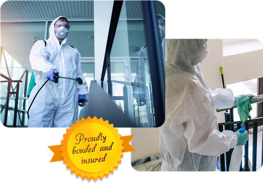 ComCleanmd's tweet image. Commercial Cleaning is well-known for our high-quality commercial cleaning services. Visit our website to learn about our expansive cleaning and janitorial solutions.

#clean #cleaning #cleaningbusiness #electrostaticdisinfecting #electrostaticsprayer #electrostatic #cleanse