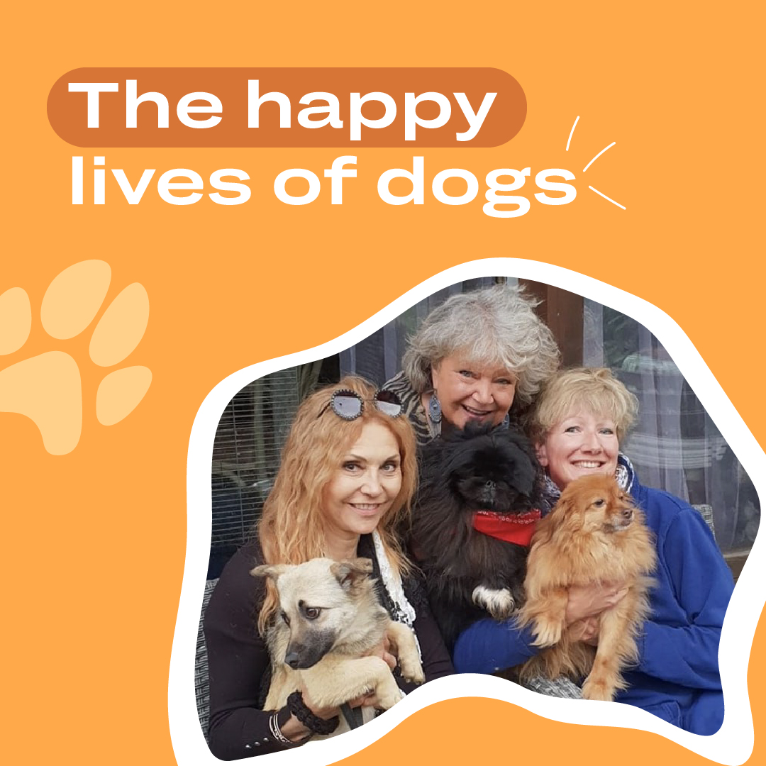 TextTeo_AI's tweet photo. We always enjoy reading the stories that ROLDA publishes about dogs that were once adopted and are now living with new families πΆπΎ
Sharing with you the warm words of owners who once adopted a dog from a shelterπ§‘
@ROLDAOrg #givehope #TextTeo
#NFT #Metaverse #TEO #Charity #Dog https://t.co/chRRgIigS8