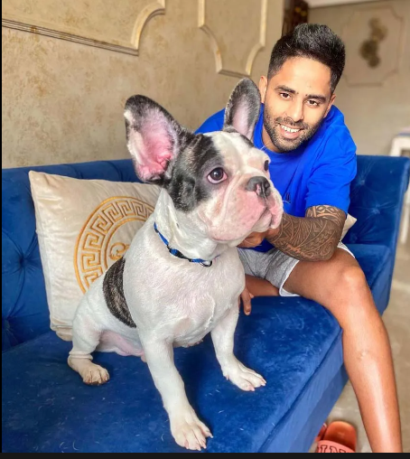 TheViditsharma's tweet photo. @surya_14kumar Wishing Suryakumar Yadav an electrifying #AsiaCup2023! His fearless approach sets the tone. Let's fearlessly advocate for #AnimalWelfare too. RT if you're in! #UniteForAnimals https://t.co/O2cOND2Jk2