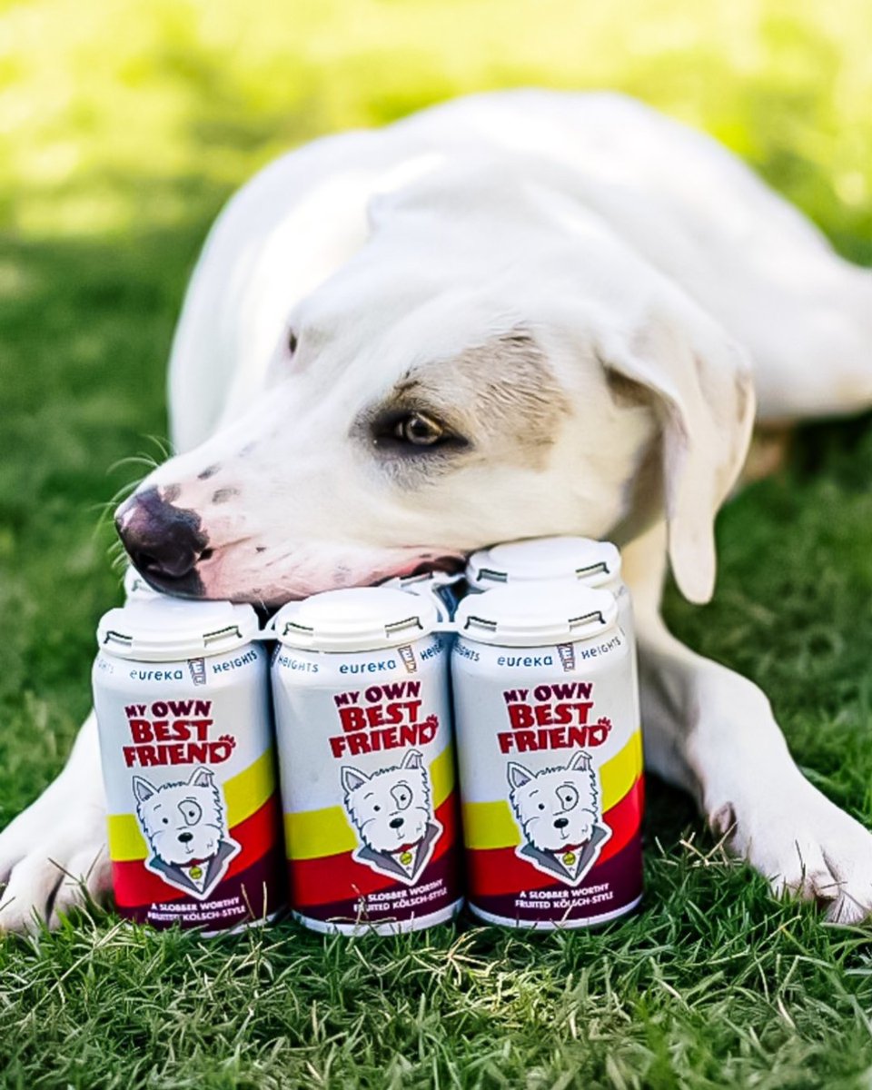 In partnership with the @HoustonSPCA, My Own Best Friend makes a glorious return, AND now, you'll find this tasty tidbit in stores all around Hou! Fruity & bright, a raspberry + cherry Kölsch that gives back; a portion of proceeds will go to helping our furry and feathery friends