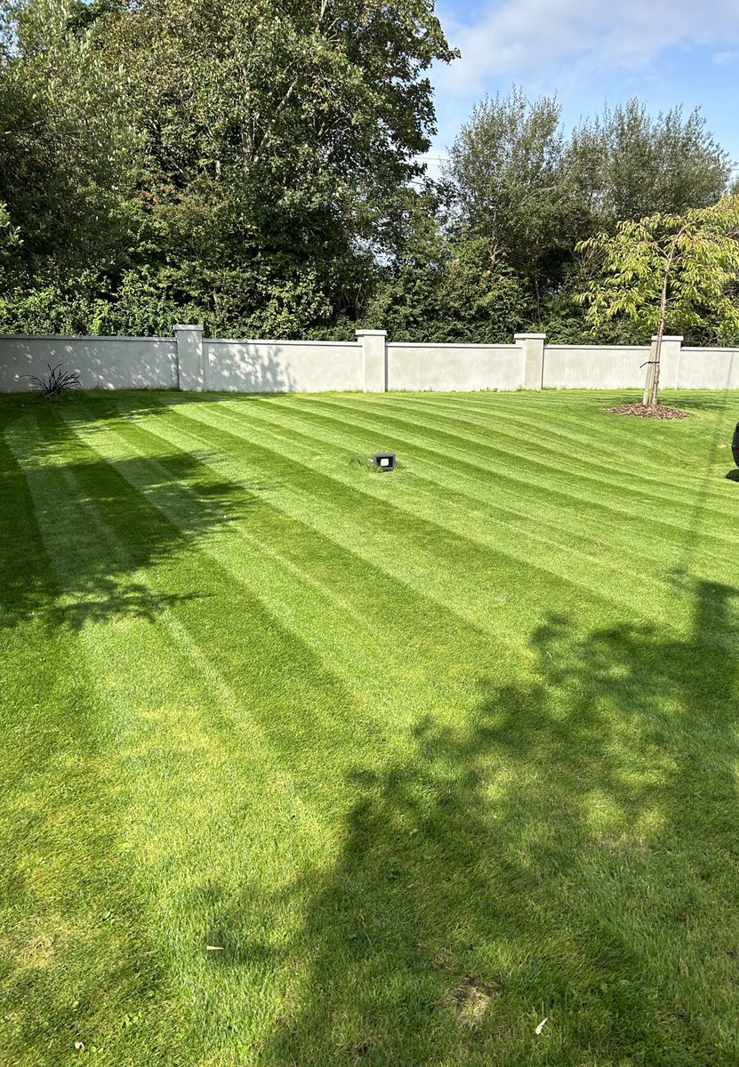 My first entry 😀😀😀 #patchoftheday <a href="/mowermanjimmy/">Jimmy The Mower</a>