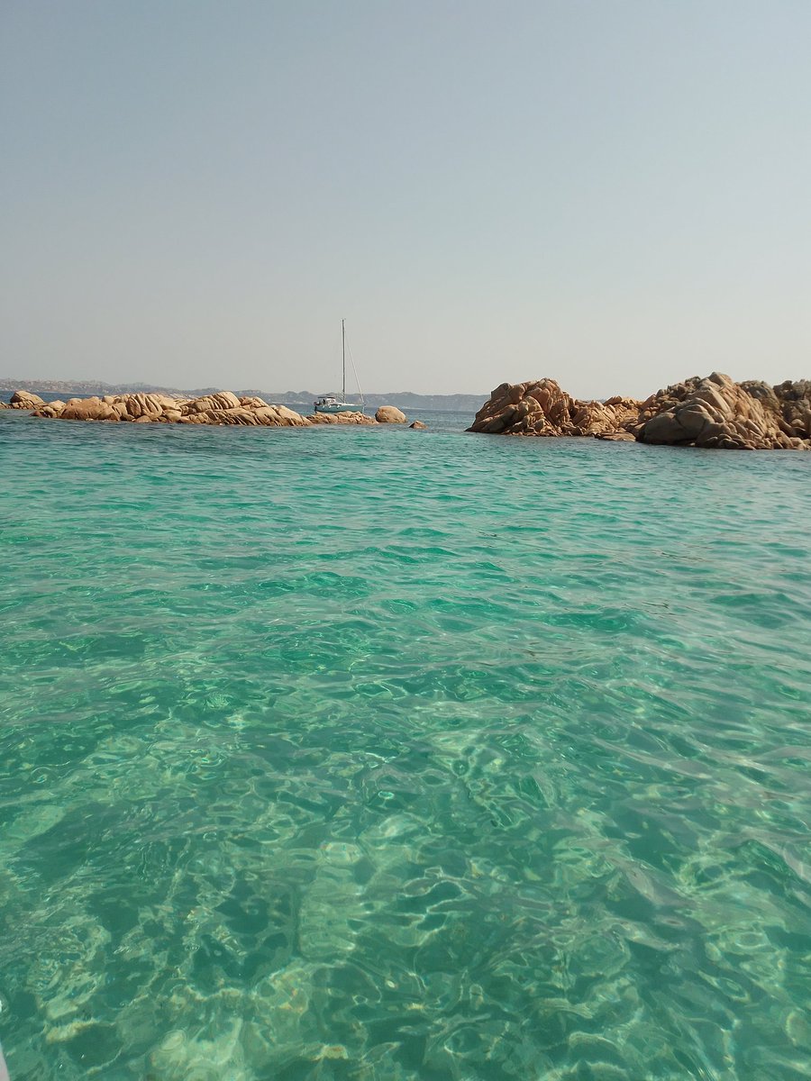 BeatricePestar3's tweet image. #Sardinia #ArcipelagodellaMaddalena #Spargi #Budelli