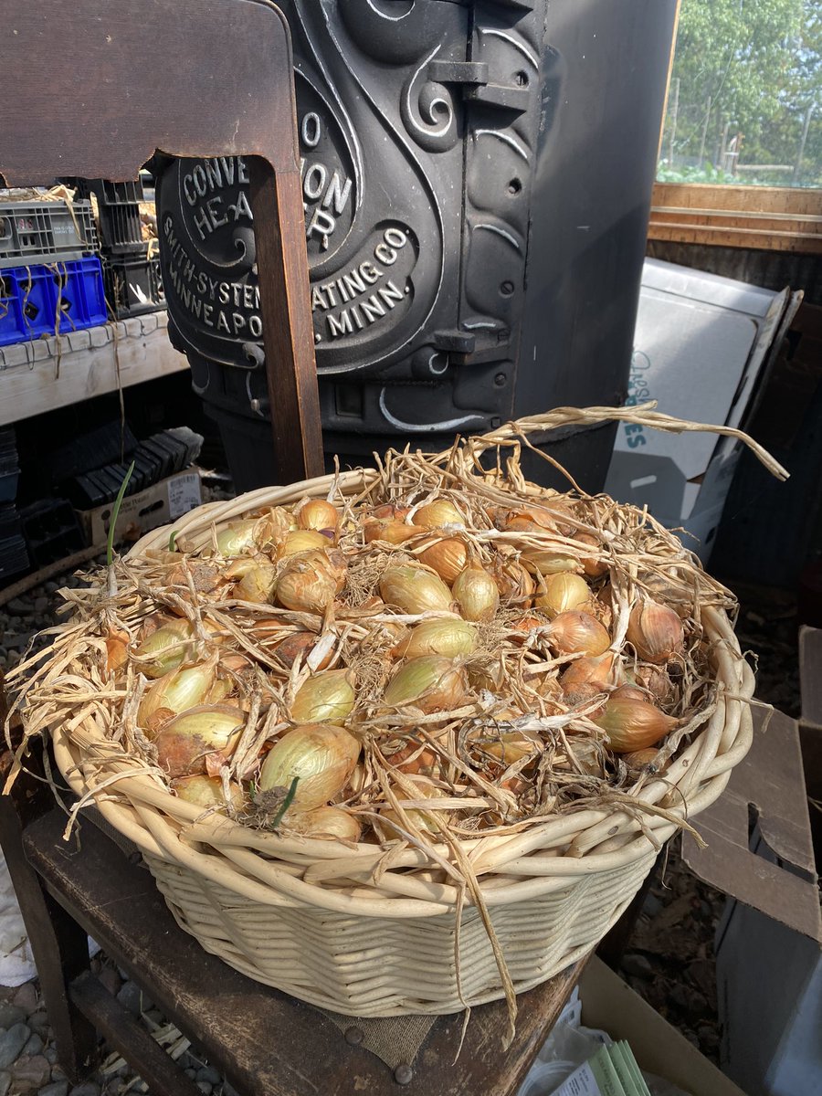 Celebrating agriculture with <a href="/UMNExt/">U of MN Extension</a> Community Food Systems tour. <a href="/MapleRidgeFarms/">Maple Ridge Farms</a> in <a href="/aitkinage/">Aitkin Age</a> County is providing food to their community by producing and selling produce in Grand Rapids, Aitkin and Crosby and selling at their decked-out roadside stand. #shorthaul #localfood