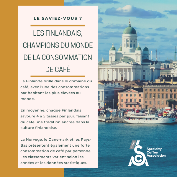 💡 [LE SAVIEZ-VOUS] Les Finlandais détiennent le record de la plus haute consommation de café en Europe et dans le monde !
👉Si vous désirez en savoir plus, ne tardez pas à vous inscrire au module "Introduction au café" #scafrance #cafedespecialite #lesaviezvous
