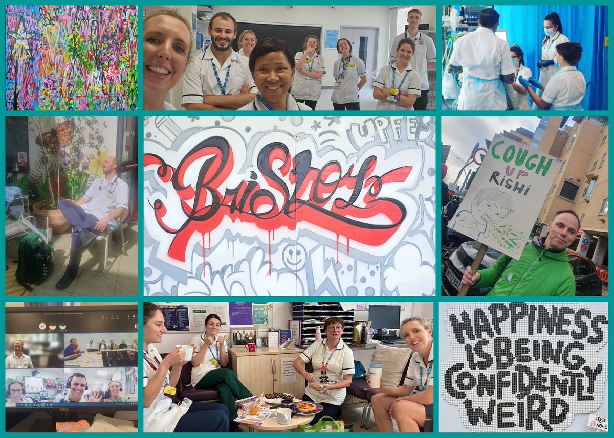 Susie Calvert tweet media