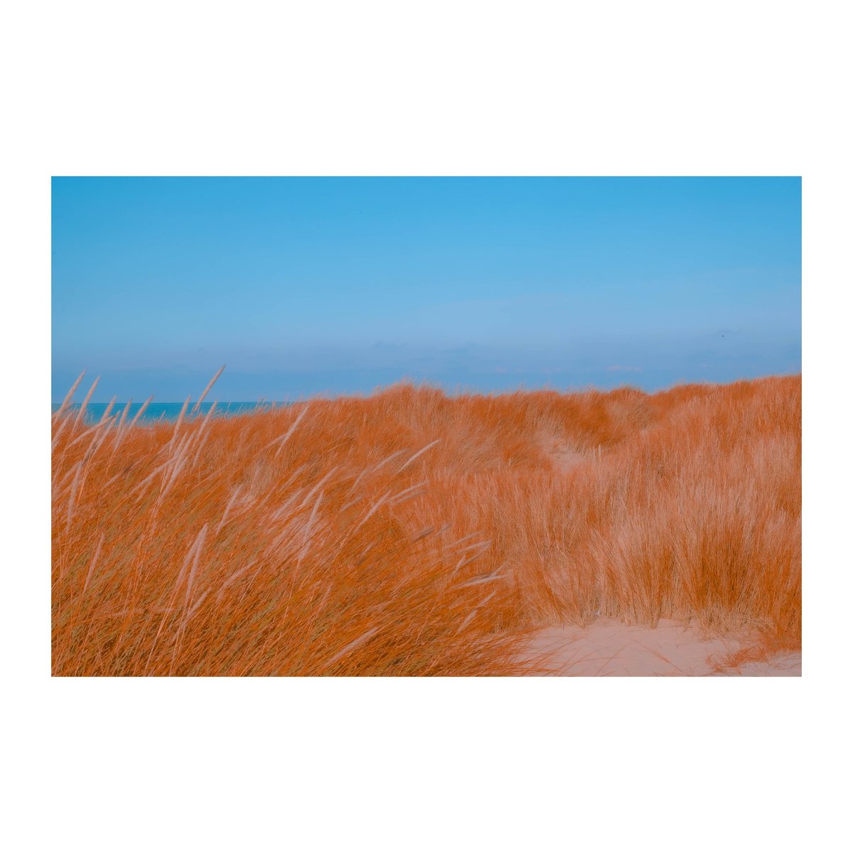 studiojordan_'s tweet photo. Natural Embrace
moments de tranquillité capturés au bord de l'océan. 📷 https://t.co/Lcrrr0cNit