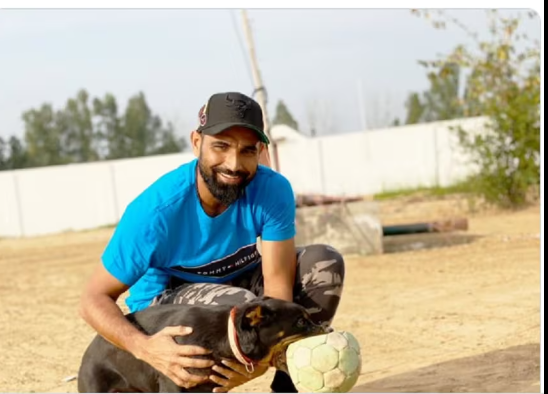 TheViditsharma's tweet photo. @MdShami11 Wishing Mohd. Shami a stellar #AsiaCup2023 performance! Your fast deliveries are a treat. Let's deliver for #AnimalWelfare too. RT to support the cause! ๐๐ฆ #FastTrackChange https://t.co/6bDuWEp76y