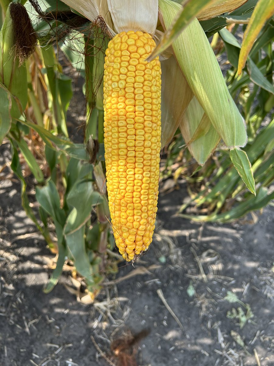 Steph Chabbert tweet media