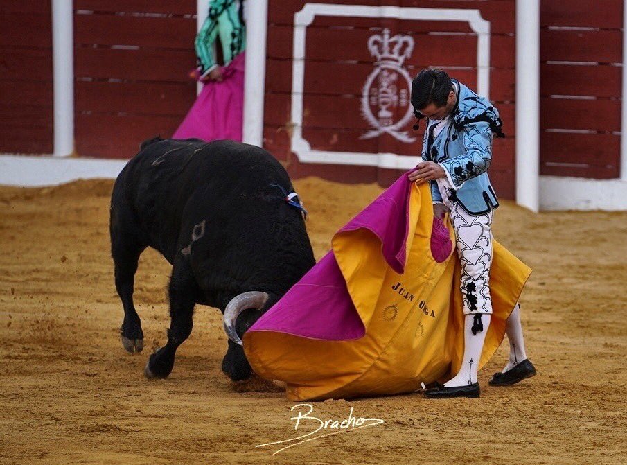 David Bracho tweet media
