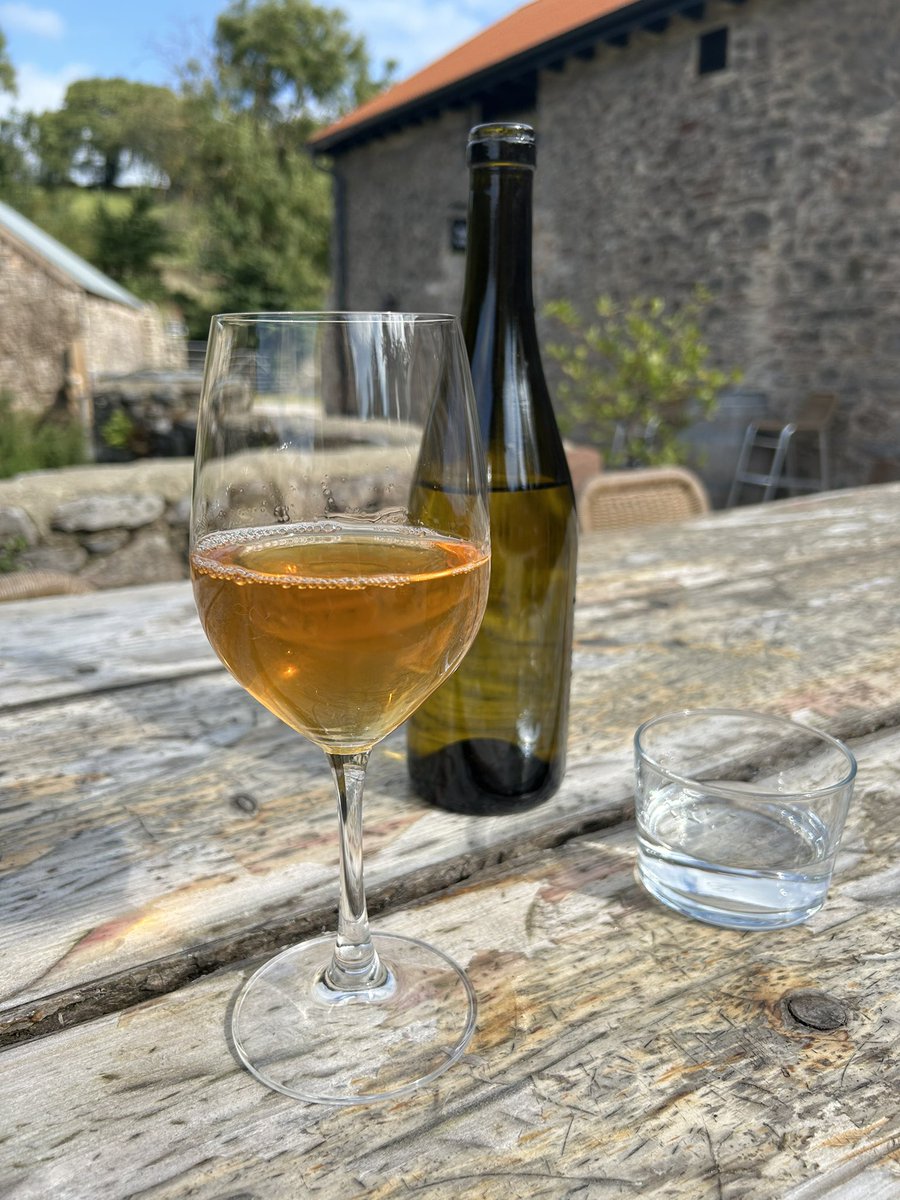 English high-skin contact (orange) wine - the future is here. Fastest growing agricultural sector in the country

#englishwine #wine #orange #BankHoliday #agriculture #english #summer @SharphamWines #devon