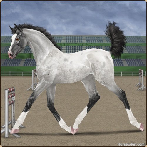 Today's featured Game Horse!
#horse #horses #horseeden #horsegame #animals #simgame #foal #blueroan #art #game