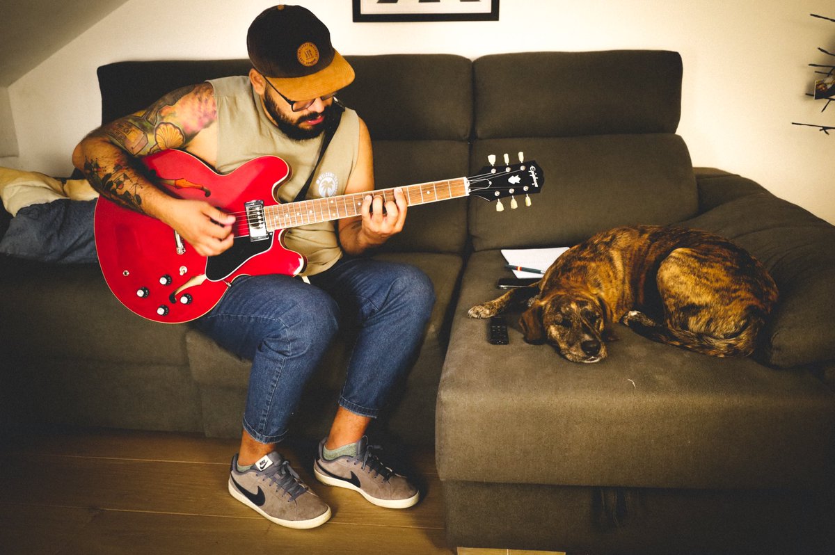 Bomcas65's tweet photo. Un público sincero , fiel , y especial . #doglover #epiphone #amelia #athome https://t.co/LHhWWAWTF5