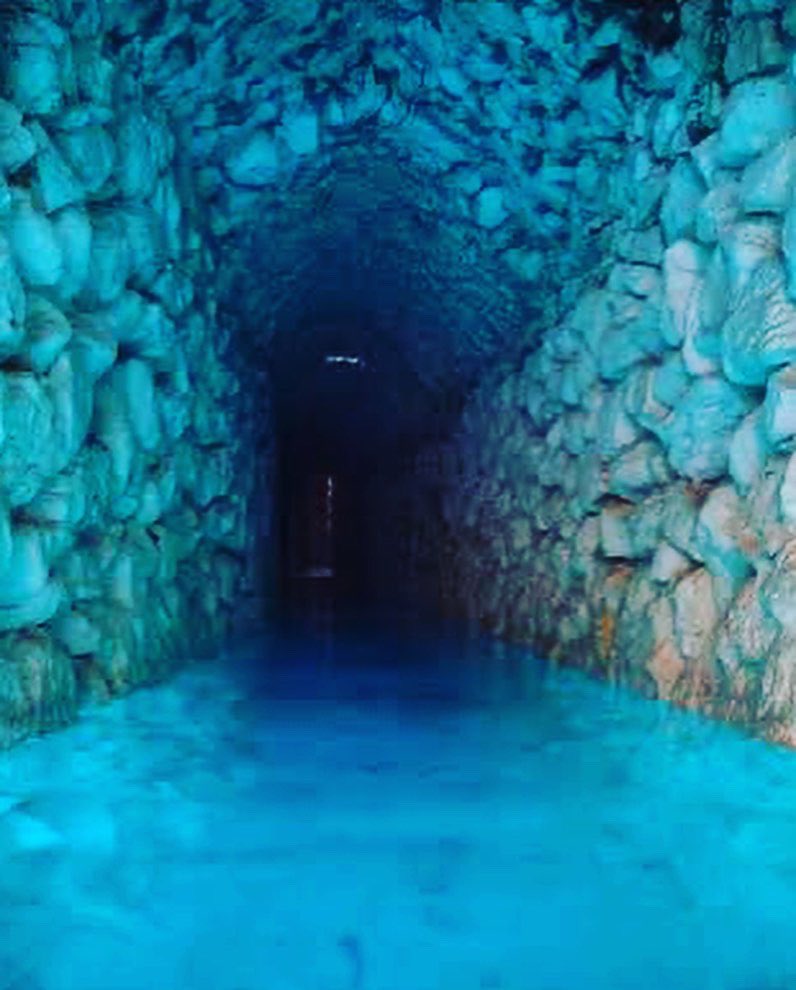 Aharon Cohen tweet media