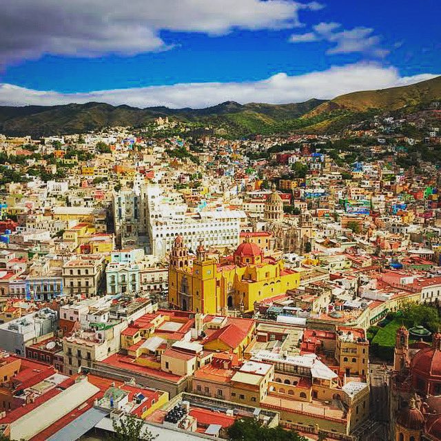 Aharon Cohen tweet media