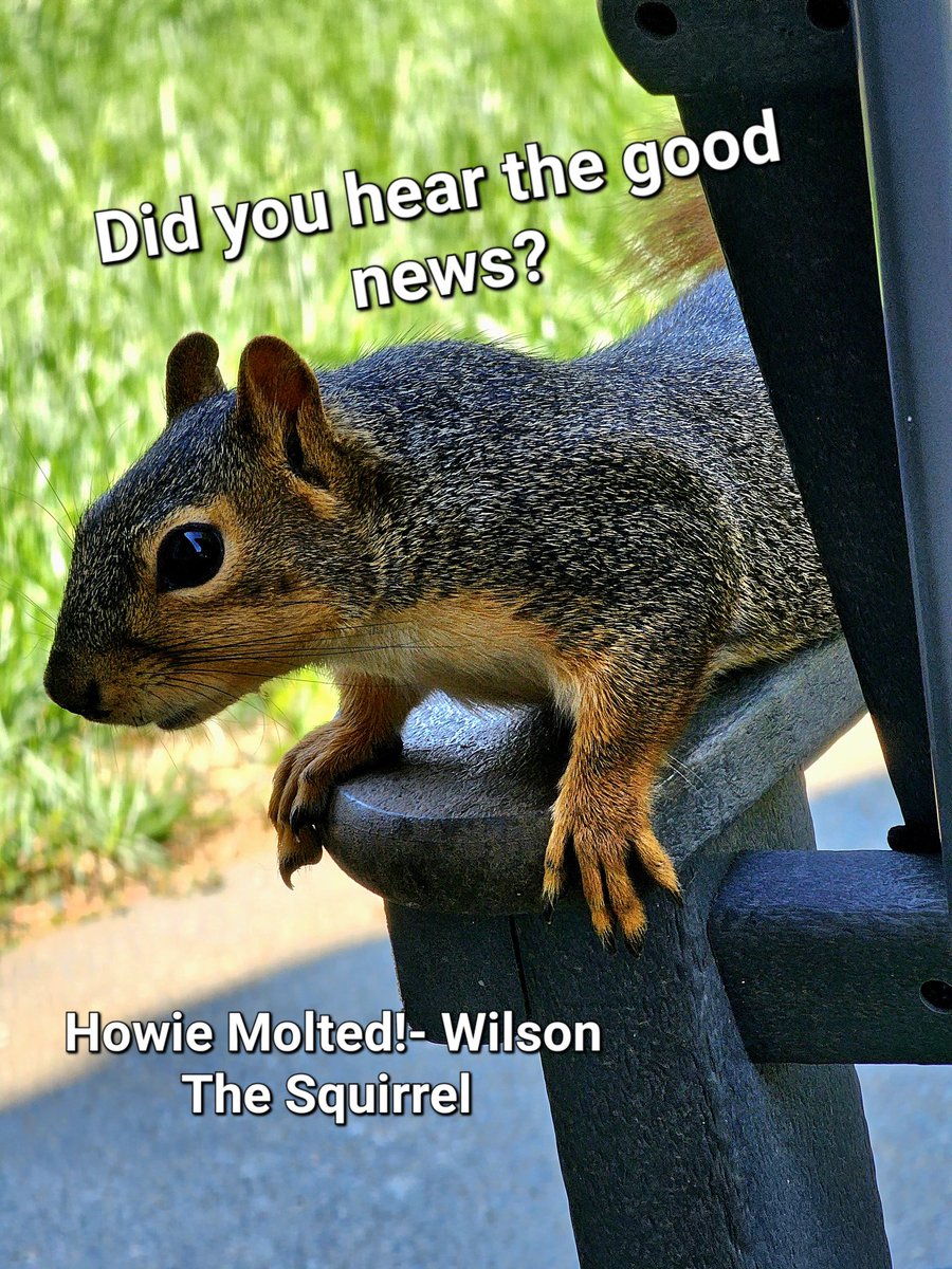 I don't post here very often, but just in case....