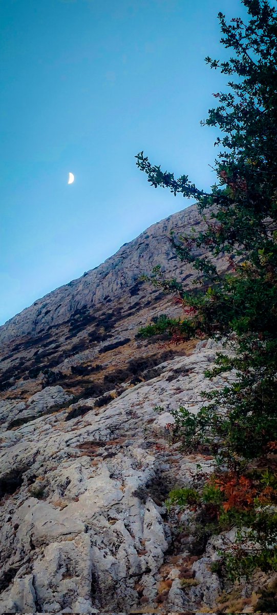 Marina_AgN's tweet photo. για το μισό φεγγάρι, για τα χρώματα, για την άγρια ομορφιά 🫶
#mycrete https://t.co/VLUYFzJnwi