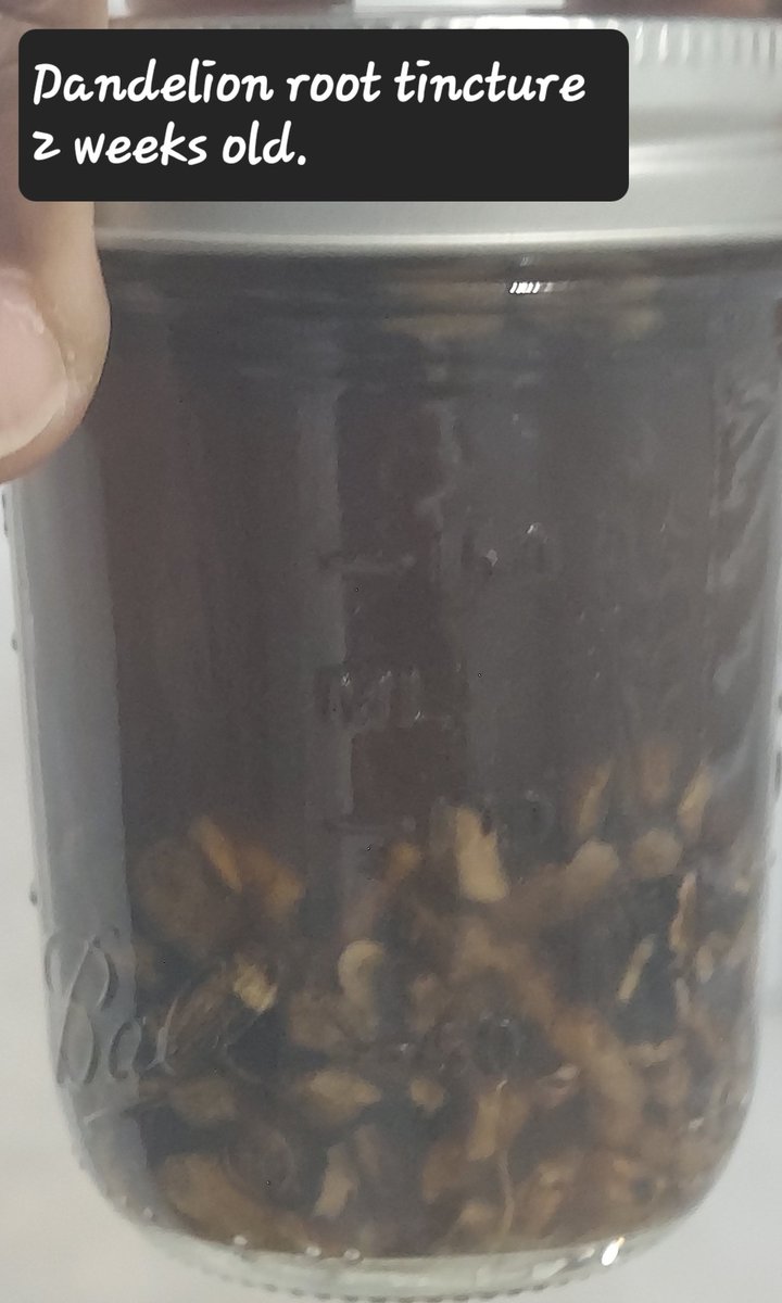 da_minister13's tweet photo. Two weeks in & six more to go.
#MakeYourOwnMeds
#StepAwayFromTheGrid
#PrepperLyfe https://t.co/nmYeSNFEfF