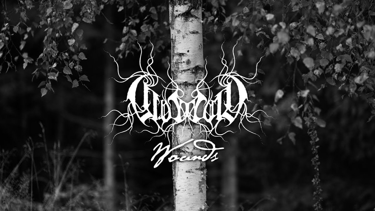 reisquarteu's tweet image. #Coldworld - "Wounds" (Official #Audio - Depressive #BlackMetal from #Germany): youtu.be/RHP3Vn5FVu0 \m/