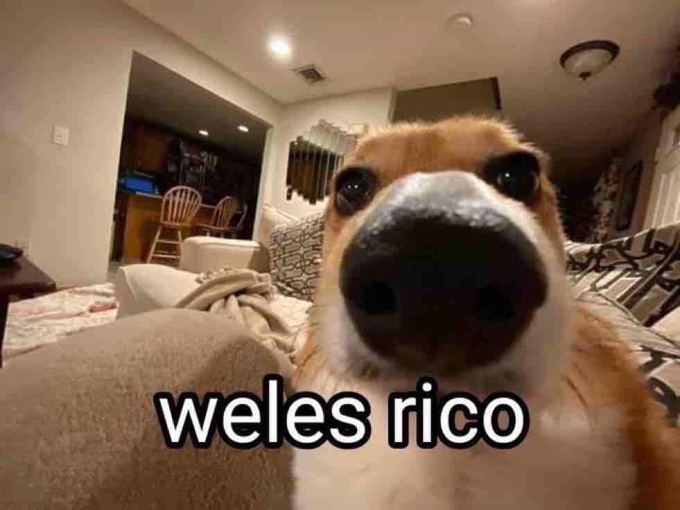 Guarromantico_ tweet picture