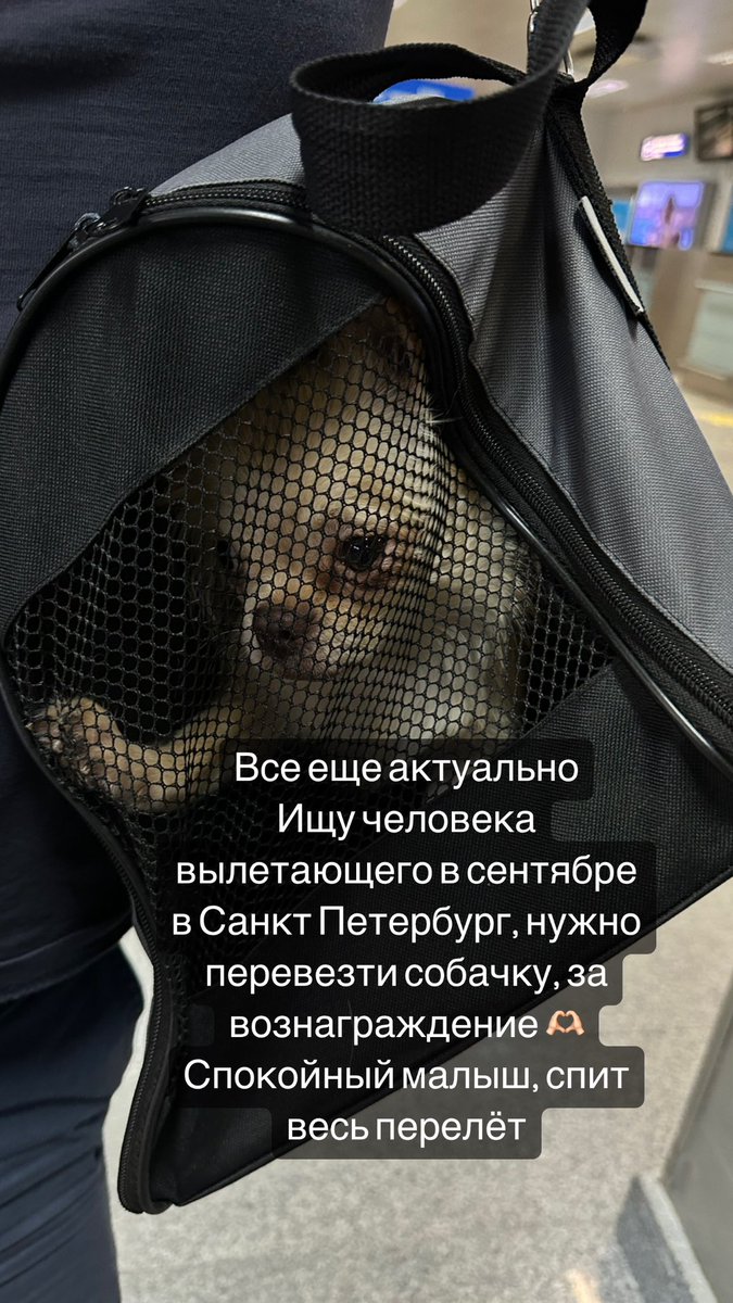Кто нибудь🥲 ретвит