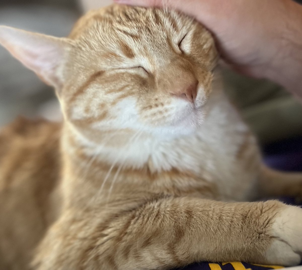 Sorry about freaking out over a weird sound and knocking that stuff down. Thanks for not holding it against me