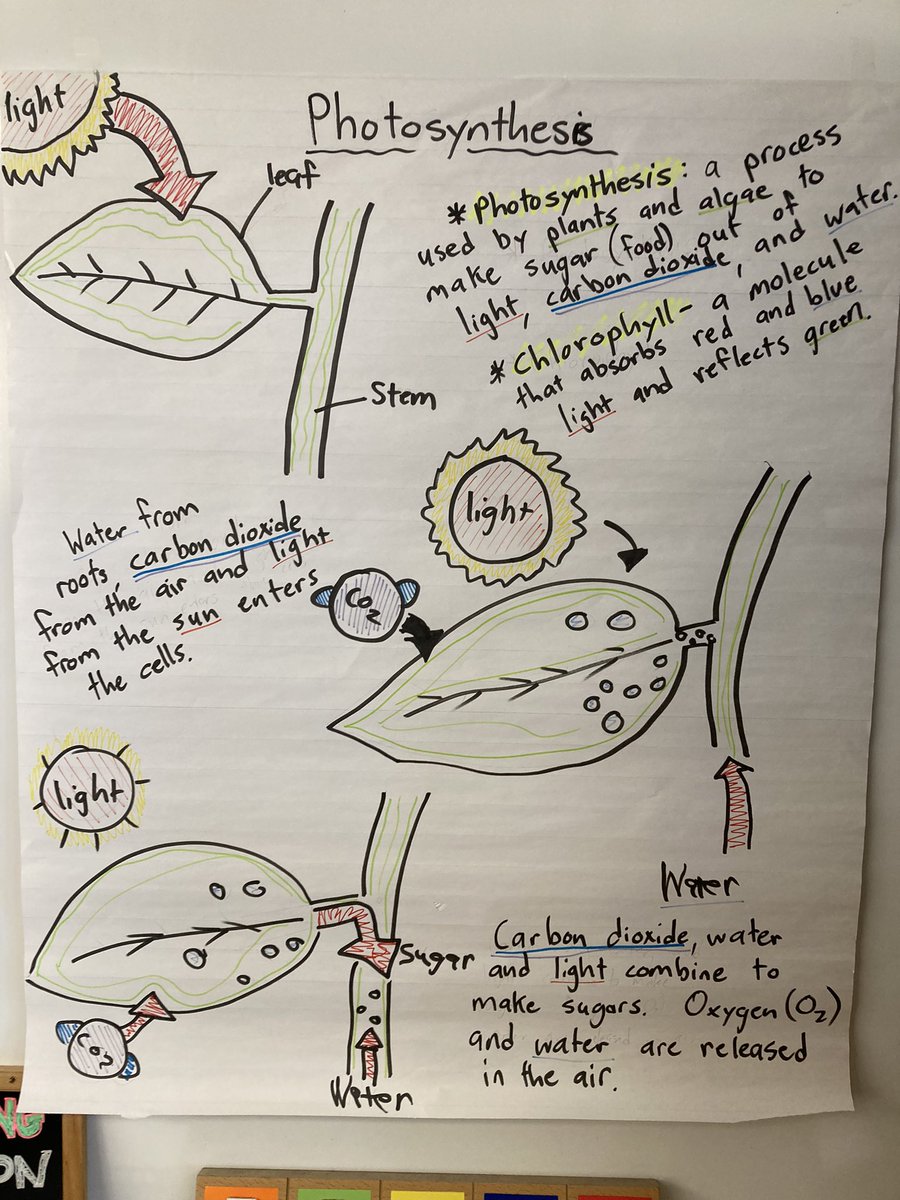 centralSBUSD's tweet photo. Great work happening @centralSBUSD with use of #GLADstrategies in Mr Gentilellas class #levelupSBUSD @EMI_SBUSD @SBUSD_NEWS @Supt_SBUSD Student engagement rules @SBUSD_EdLeader @Brenda03Robles https://t.co/G9F25crc7C