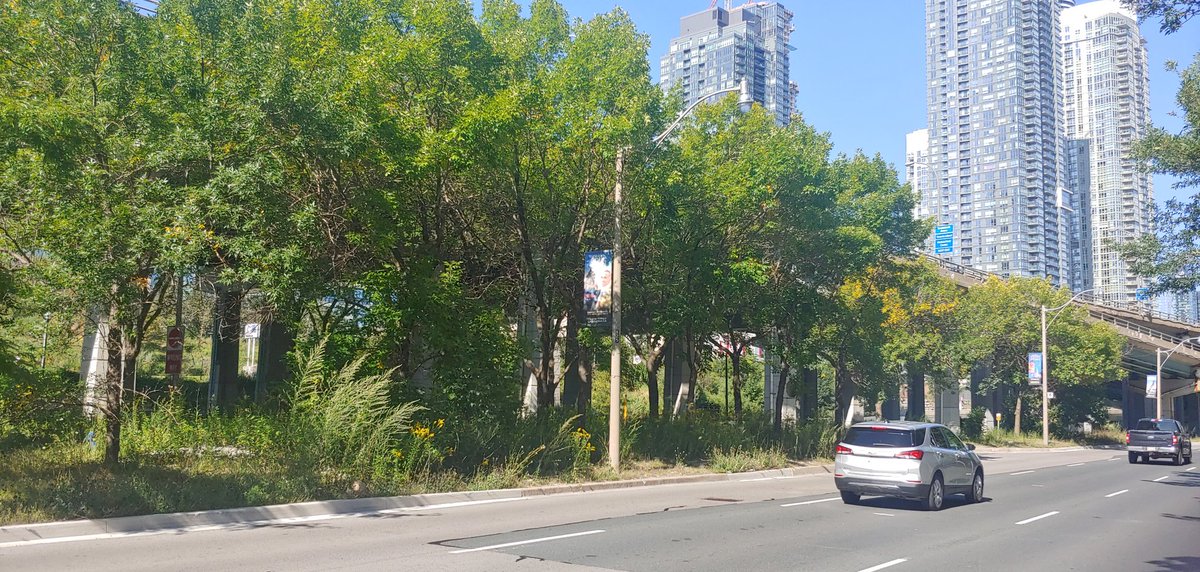 YYZdesign's tweet photo. @311Toronto Another 3 weeks on and a FULL 2 MOTNHS since I first reported this driving hazard on a major roadway and it is still not addressed despite the escalation. ETD? https://t.co/Km0KmaeeTR