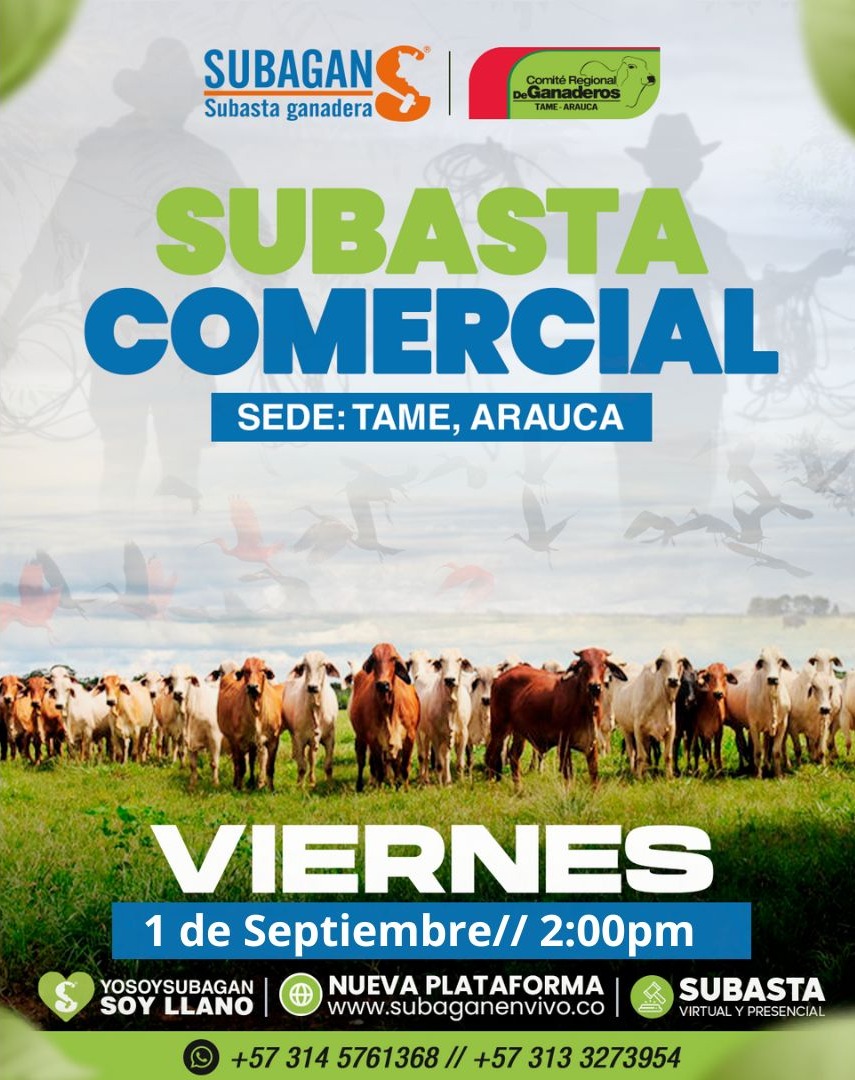 Comité Ganaderos Tame tweet media