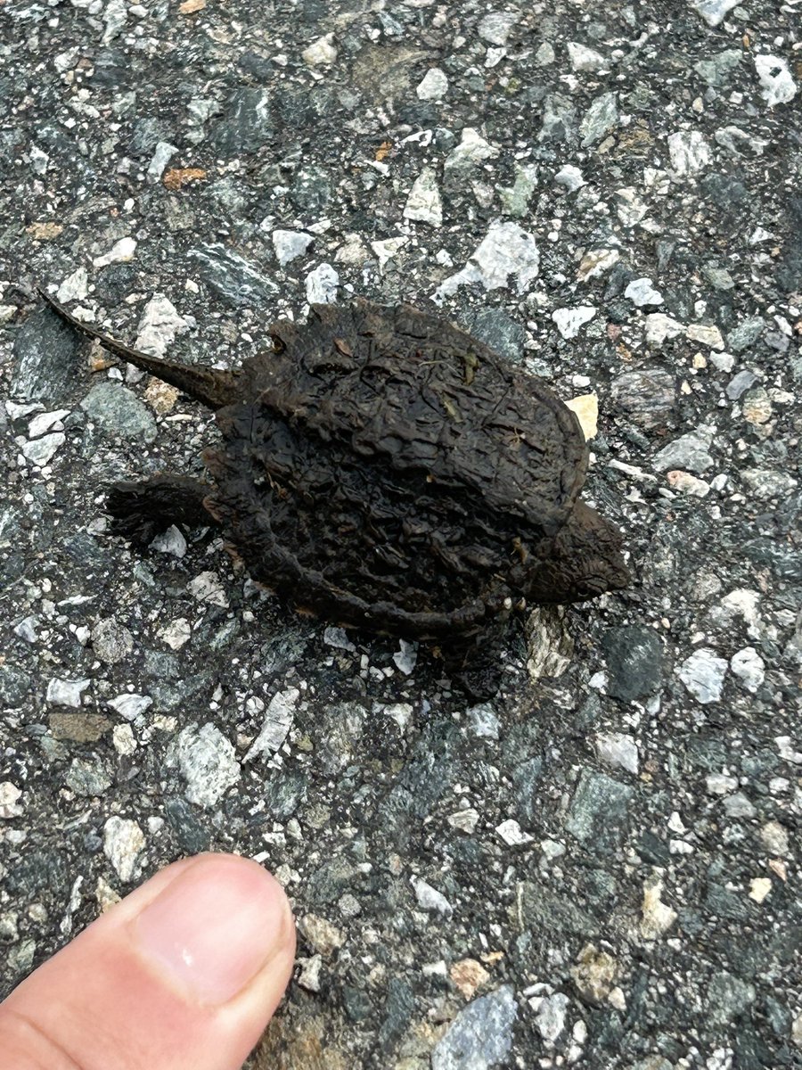 Mike Lepene tweet media