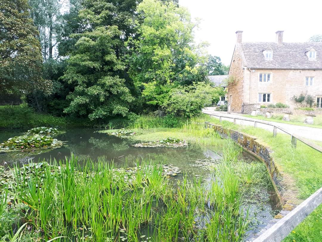 evesham ramblers tweet media